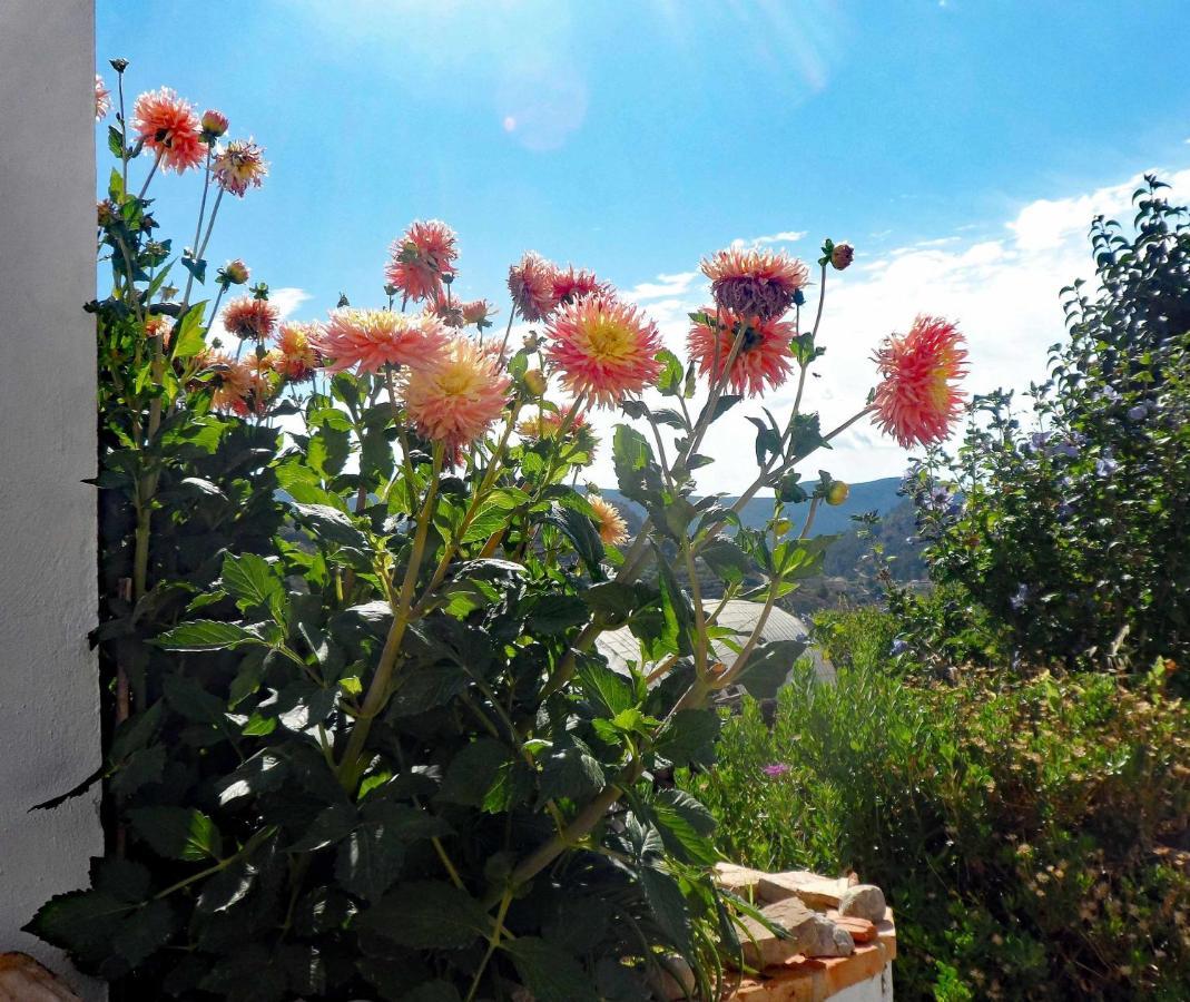 Charming House Ideal For Couples And Young Familie Tárbena 외부 사진